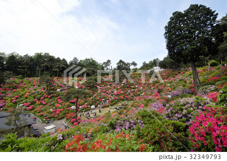 【つつじの名所・絶景】塩船観音寺 つつじまつり 32349793