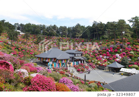 【つつじの名所・絶景】塩船観音寺 つつじまつり 32349807
