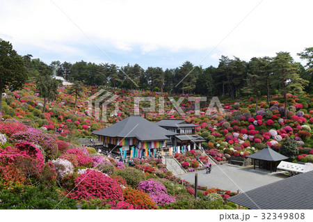 【つつじの名所・絶景】塩船観音寺 つつじまつり 32349808