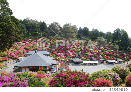 【つつじの名所・絶景】塩船観音寺 つつじまつり 32349810