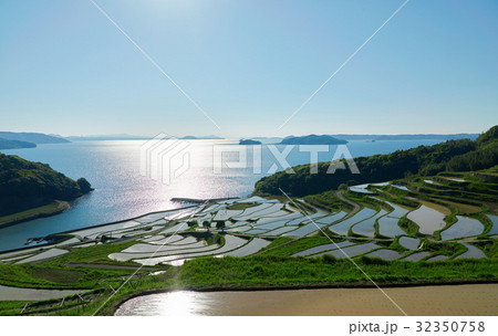 土谷の棚田 32350758