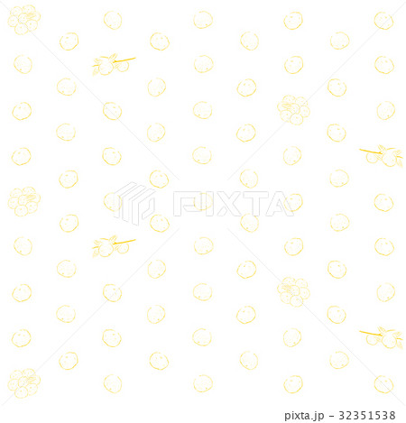ゆず 果物の柄 のイラスト素材