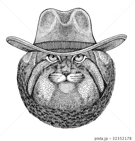 Wild cat Manul Wild animal wearing cowboy hat Wild 32352178