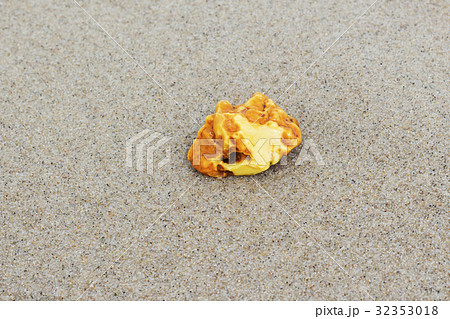 Amber. Amber on the fine sand. 32353018