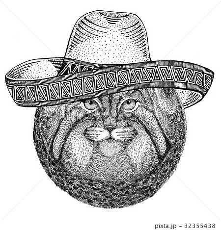 Wild cat Manul Wild animal wearing sombrero Mexico 32355438