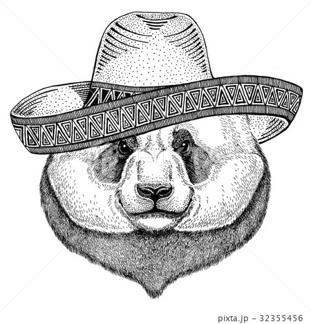 Panda bear, bamboo bear Wild animal wearing Panda bear, bamboo bear Wild animal wearing 32355456