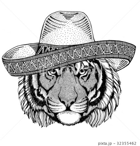 Wild tiger Wild animal wearing sombrero Mexico 32355462