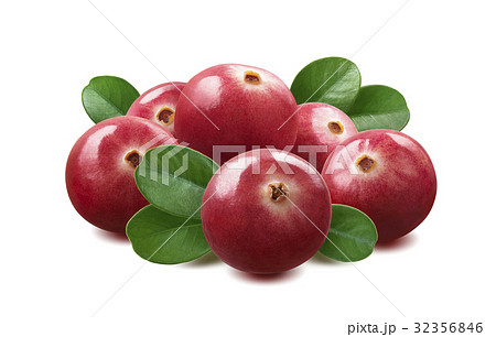 Cranberry composition isolated on white 32356846