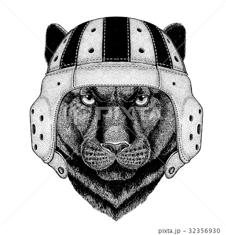 Panther Puma Cougar Wild cat Wild animal wearing 32356930