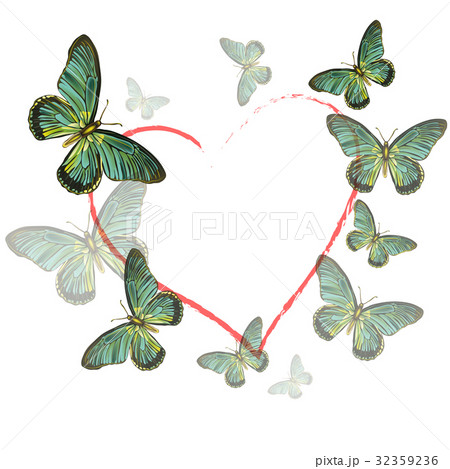 heart of butterflies on white background 32359236
