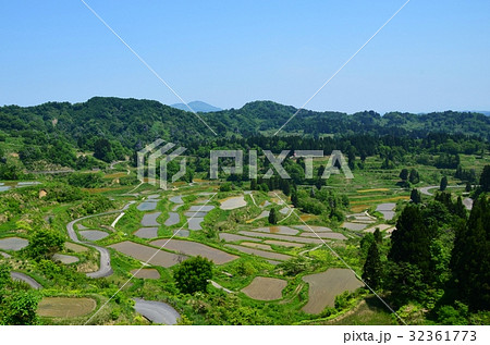 田植えの季節を迎えた十日町 松代 星峠の棚田 32361773