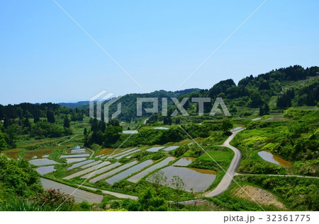 田植えの季節を迎えた十日町 松代 星峠の棚田の写真素材