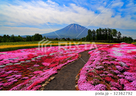 快晴の羊蹄山と芝桜 32362792