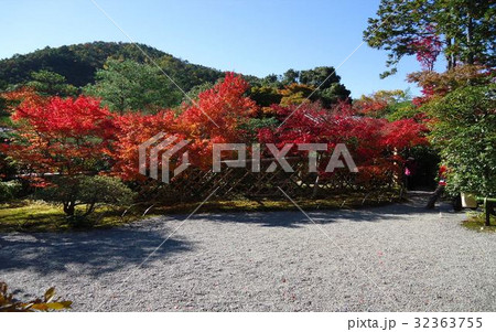 光悦垣と紅葉と山 32363755