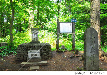 河口湖天上山（カチカチ山）頂上の小御嶽神社 32364173
