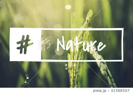 Alternative Farming Sustainable Nature Concept 32366507