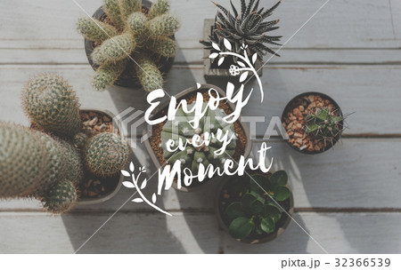 Positivity Break Passion Never Fail Moment 32366539