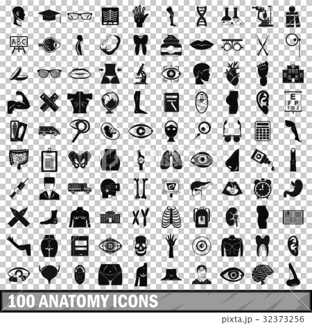 100 anatomy icons set, simple style 32373256