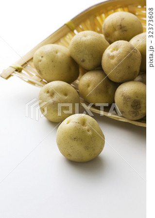 新ジャガ小芋6 新ジャガ小芋6 32373608