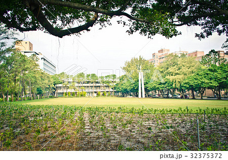 台湾 桃畑 モモ畑 32375372