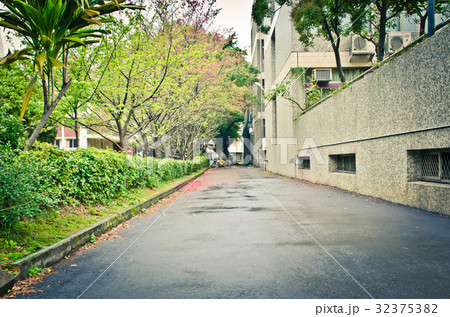 台湾 桃畑 モモ畑 32375382