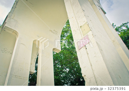 台湾 桃畑 モモ畑 32375391