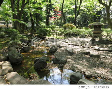 新緑が美しい春の高橋是清翁記念公園(和風庭園) 新緑が美しい春の高橋是清翁記念公園(和風庭園) 32375615