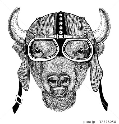 Buffalo, bison,ox, bull Motorcycle, biker, aviator Buffalo, bison,ox, bull Motorcycle, biker, aviator 32378058
