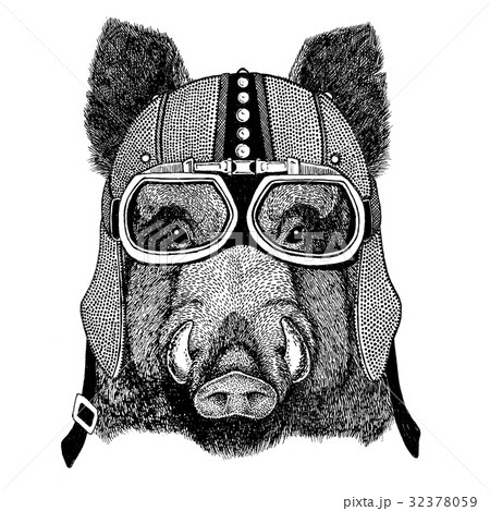 Aper, boar, hog, hog, wild boar Motorcycle, biker 32378059