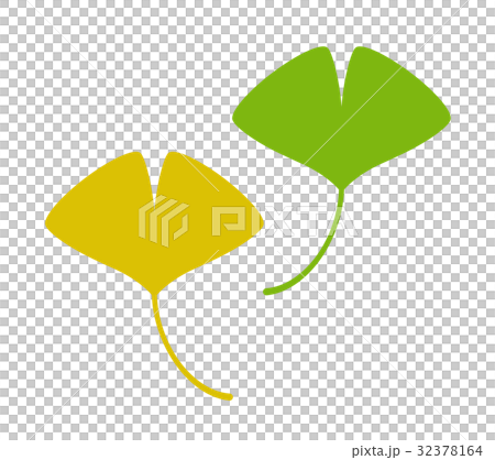 緑と黄色のイチョウ葉のイラスト素材 32378164 Pixta