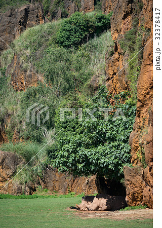 White rhinoceros lying in shade beneath cliff White rhinoceros lying in shade beneath cliff 32378417