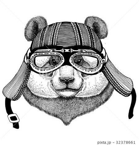 Panda bear, bamboo bear Wild animal wearing biker Panda bear, bamboo bear Wild animal wearing biker 32378661