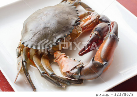 mud crab 32378678