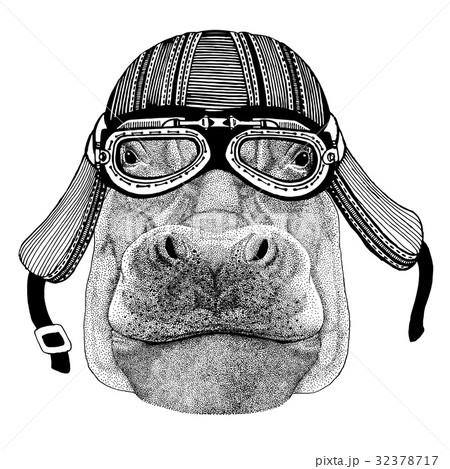 Hippo, Hippopotamus, behemoth, river-horse Wild 32378717