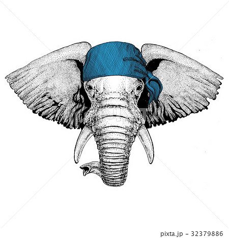 African or indian Elephant Wild animal wearing African or indian Elephant Wild animal wearing 32379886