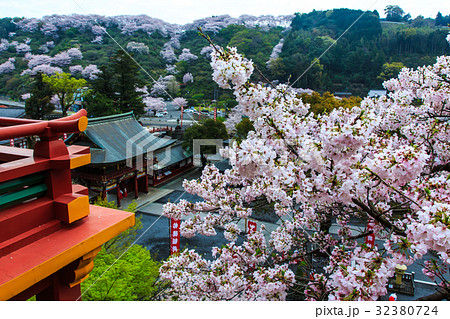 祐徳稲荷神社のさくら 佐賀 祐徳稲荷神社のさくら 佐賀 32380724