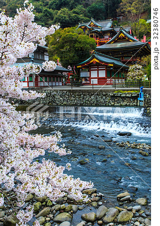 祐徳稲荷神社のさくら 佐賀 祐徳稲荷神社のさくら 佐賀 32380746
