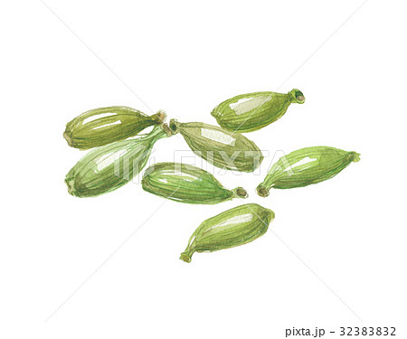 カルダモン 32383832