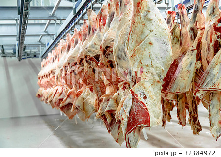 The meat processing plant. 32384972