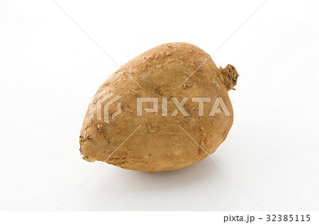 紅芋（備瀬1号） 32385115