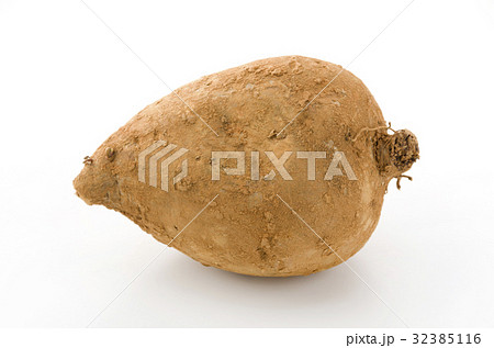 紅芋（備瀬1号） 32385116