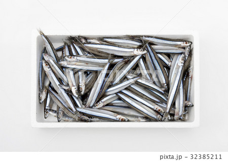 キビナゴ(冷凍) キビナゴ(冷凍) 32385211