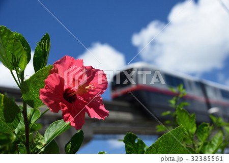 ハイビスカスとゆいレール2 32385561