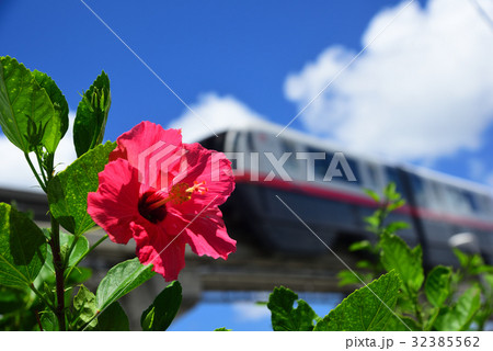 ハイビスカスとゆいレール3 32385562