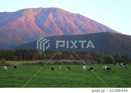 高原の朝　秋の放牧場 32386446