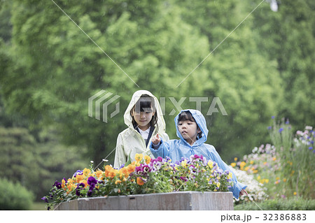 雨の日に花を観察する姉妹 32386883