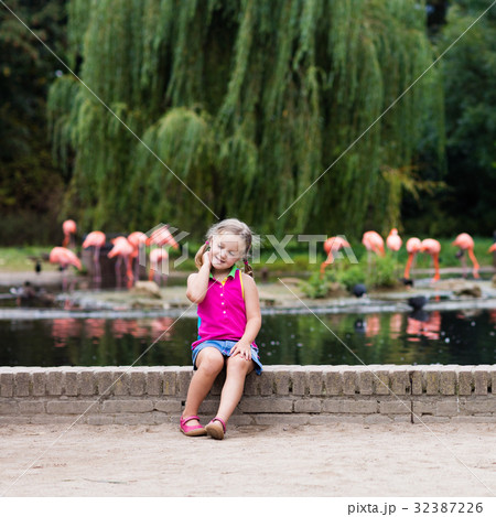 Child watching animals and birds at the zoo Child watching animals and birds at the zoo 32387226