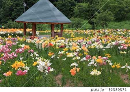 ゆり園　東屋 32389371