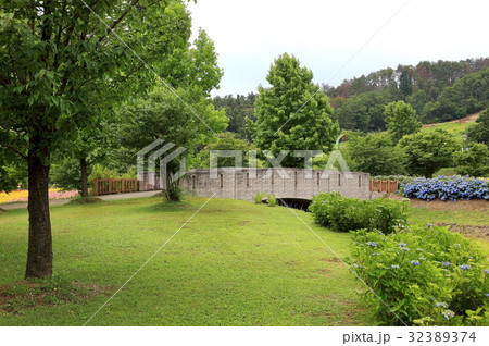 ゆり園 広場 ゆり園 広場 32389374