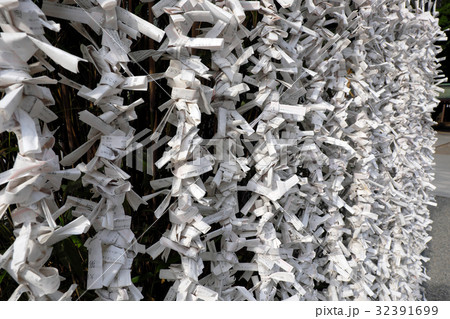大國魂神社 結ばれたおみくじ 32391699